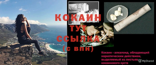 стафф Осташков